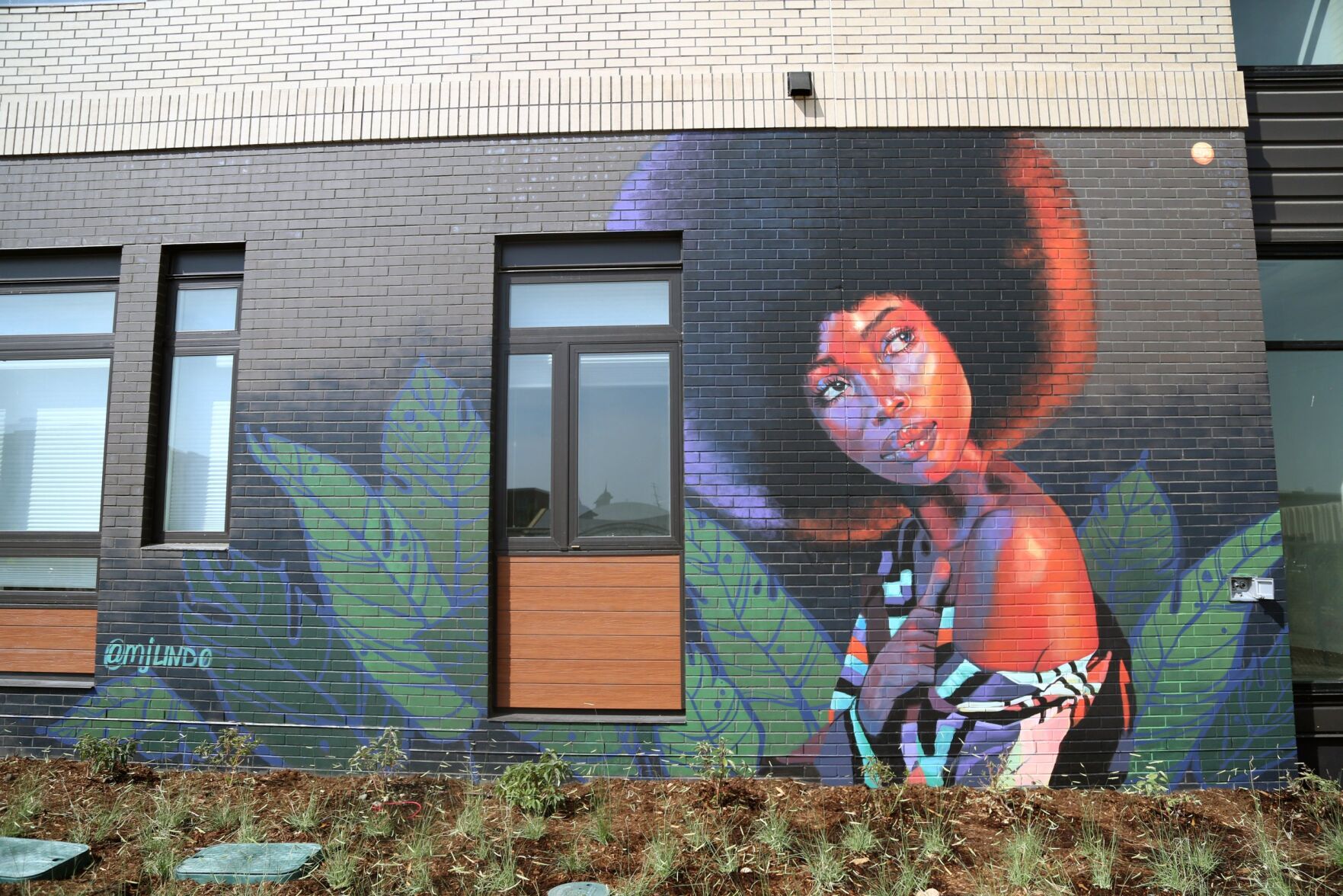 Street Wise Boulder Mural Festival
